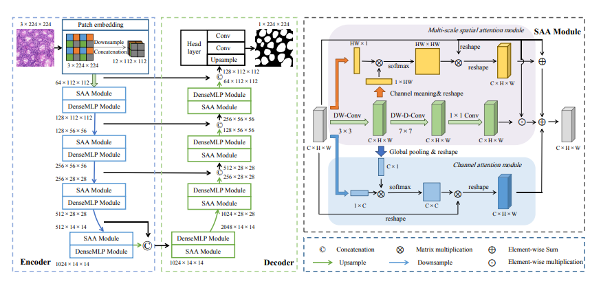 SAA-NET: A Medical Image Segmentation Framework based on Stream-across Attention