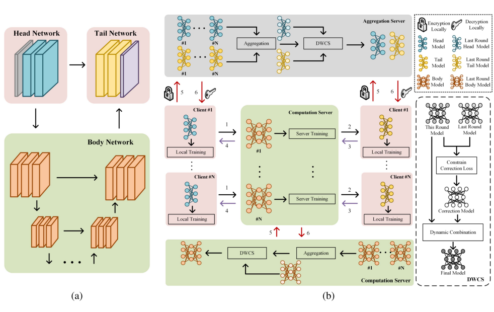 Dynamic Corrected Split Federated Learning with Homomorphic Encryption for U-shaped Medical Image Networks