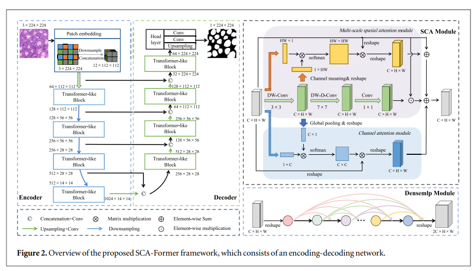 SCA-Former: Transformer-like Network based on Stream-cross Attention for Medical Image Segmentation