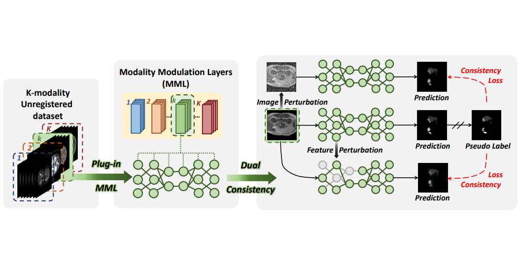 Modality Modulation and Dual Consistency for Multi-Modality Semi-Supervised Medical Image Segmentation