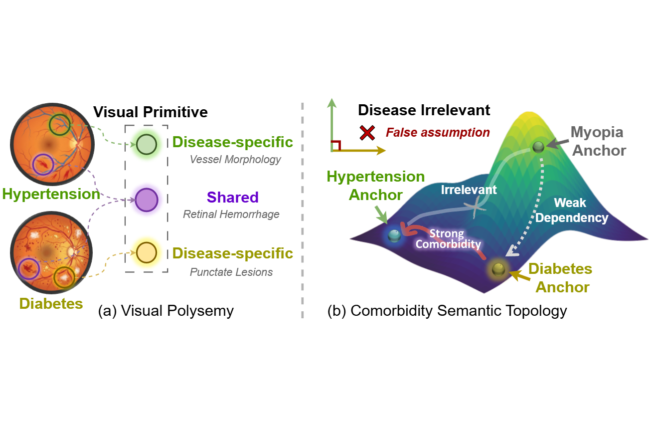 FACT: Fuzzy Alignment with Comorbidity Topology for Reliable Multi-Label Medical Image Diagnosis