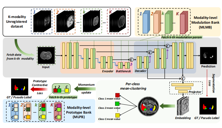 Double Banking on Knowledge: A Unified All-in-One Framework for Unpaired Multi-Modality Semi-supervised Medical Image Segmentation
